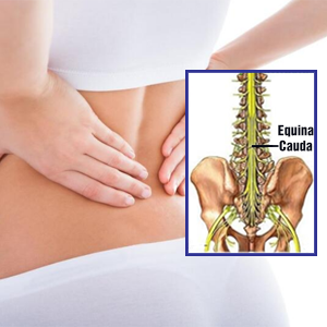 Một số bệnh lý khác
